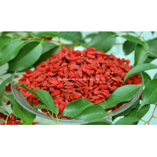 Goji Berry Bio (0002)